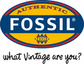 Fossil teräskorut