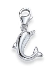 Charms Delfiini 538K