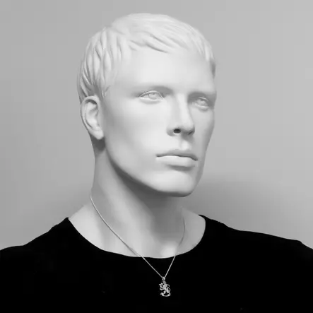 Hopeinen Suomileijona CR20 - Hopeiset riipukset - CR20 - 2