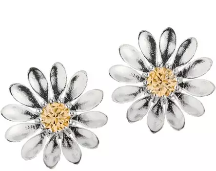 Lempikoru Kukkanen korvakorut, shampanja - Hopeiset korvakorut - 3307508000 - 1