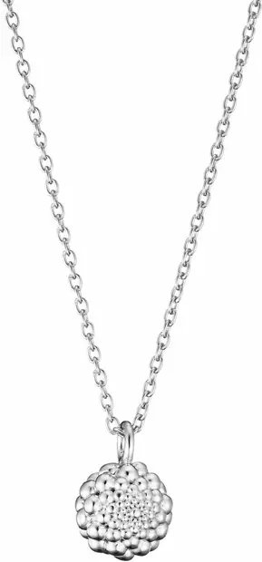 L56207700000 - Hopeiset riipukset - L56207700000 - 1