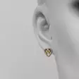 Lumoava Helmi korvakorut mittasuhdekuva - Kultaiset korvakorut - L74194100000 - 2