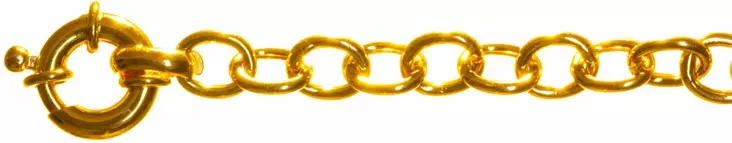 Iso ankkuri ja pieni kullattu 17-H740 - Hopeiset rannekorut - 17-H740 - 1