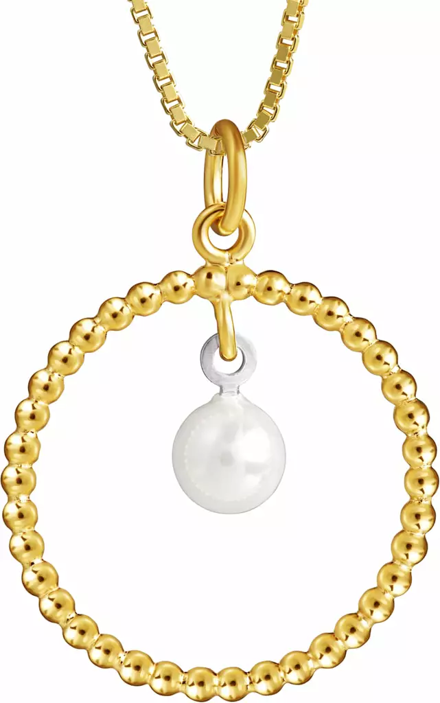 5208230450 - Hopeiset riipukset - 5208230450 - 1