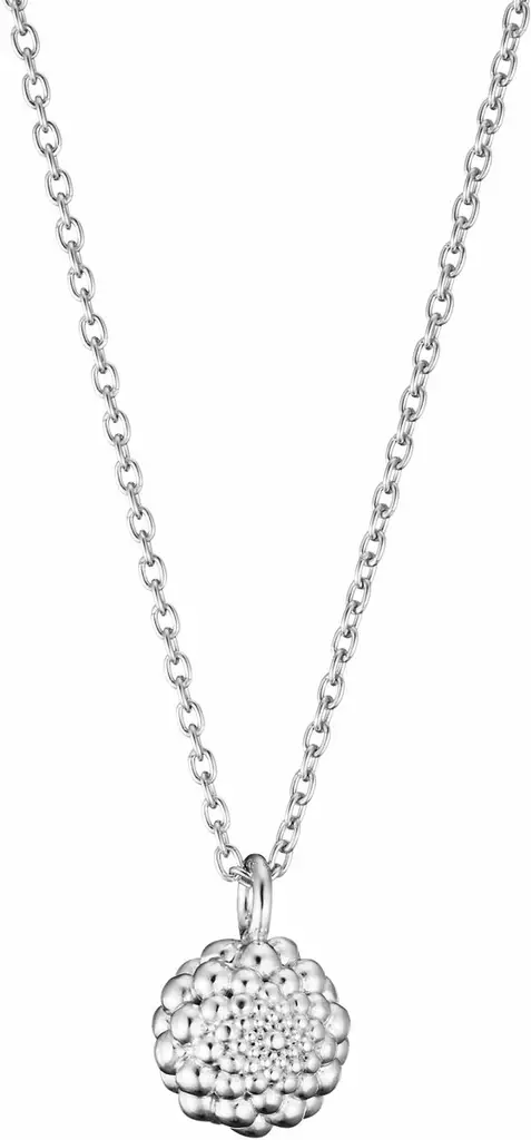 L56207700000 - Hopeiset riipukset - L56207700000 - 1