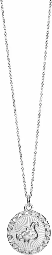 Kalevala Koru Amuletti-riipus Taikalintu - Amuletti - 227031560 - 1