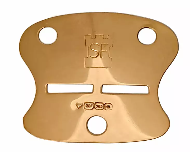 Kultainen tuntolaatta SF 76080 - Kultaiset riipukset - 76080 - 1