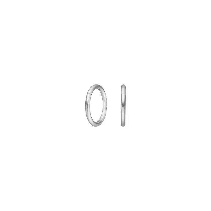 Titaanikorvakorut 10 mm - Korvakorut - NA30155003700 - 1