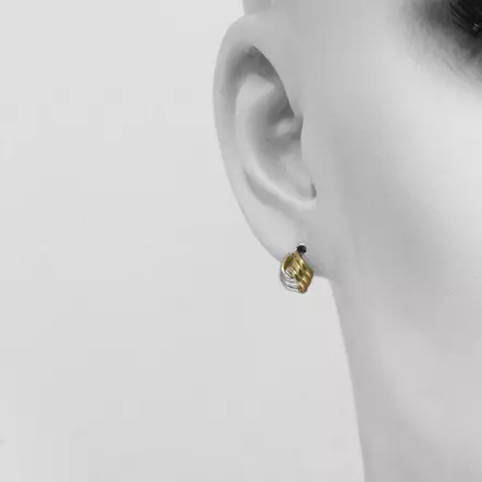 Kaksiväriset kultaiset korvakorut - Kultaiset korvakorut - 17-K1351 - 2