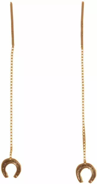 L=C3=A4pivedett=C3=A4v=C3=A4 hevosenkenk=C3=A4 K20221 - Kultaiset korvakorut - K20221 - 1