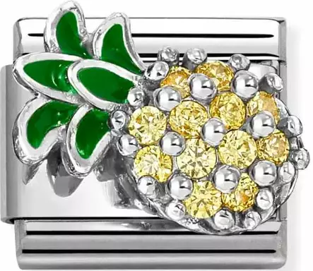 Nomination pala Ananas Zirkonein - Nomination - 330328-21 - 1