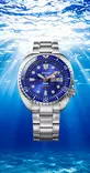 Seiko Prospex PADI 60th Anniversary Limited Edition rannekello HBB002K1 fiiliskuva2 - Prospex - HBB002K1 - 5