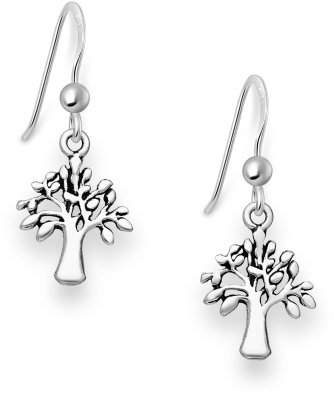 El=C3=A4m=C3=A4npuu koukkukorvakorut IN33361 - Hopeiset korvakorut - IN33361 - 1