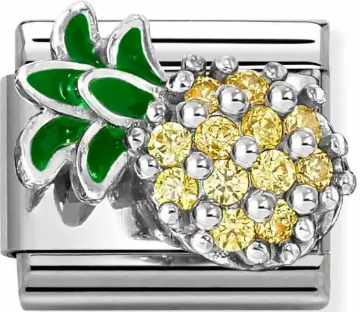 Nomination pala Ananas Zirkonein - Nomination - 330328-21 - 1