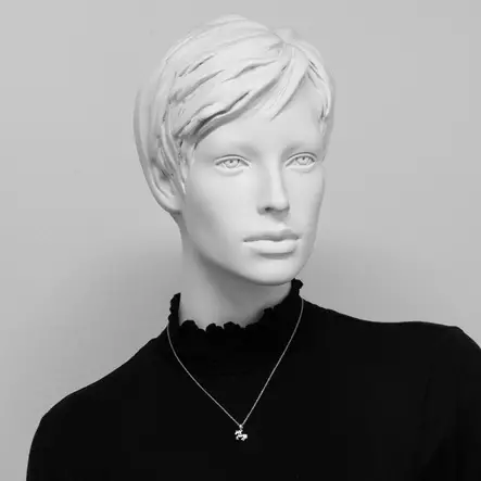 Hevonen Riipus ketjulla C10852 - Hopeiset kaulakorut - C10852 - 2