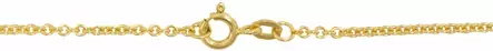 Kultainen Ankkuriketju 9K0150- - Kultaiset riipusketjut - 9K0150-42 - 2
