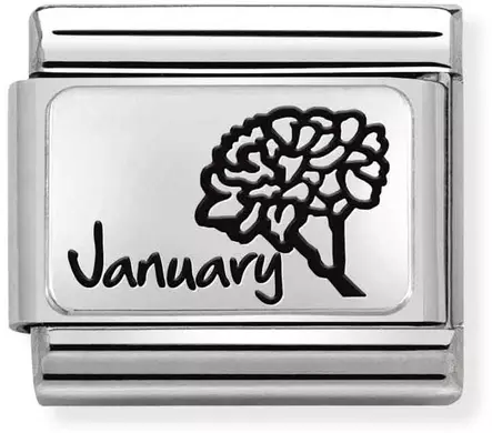 Nomination pala - Kuukaudet SilverShine - Nomination combosable classic - 330112-13 - 1