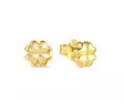 NOMI ARMONICA KK APILA GOLD - Nomination - 241307-003 - 1