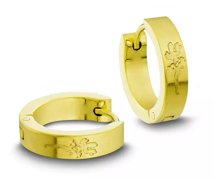 618011-4 Kullatut teräskorvarenkaat - Teräksiset korvakorut - 618011-4 - 1