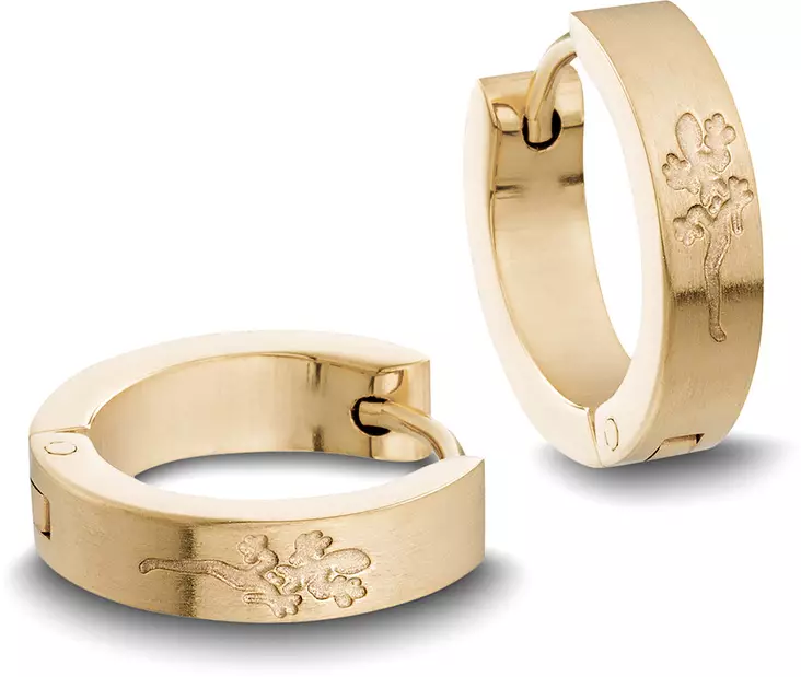 618012-4 Punakullatut korvarenkaat - Teräksiset korvakorut - 618012-4 - 1