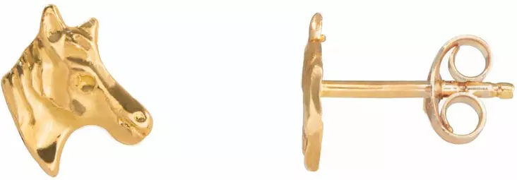 Hevosenpää - Kultaiset korvakorut - 3138064 - 1