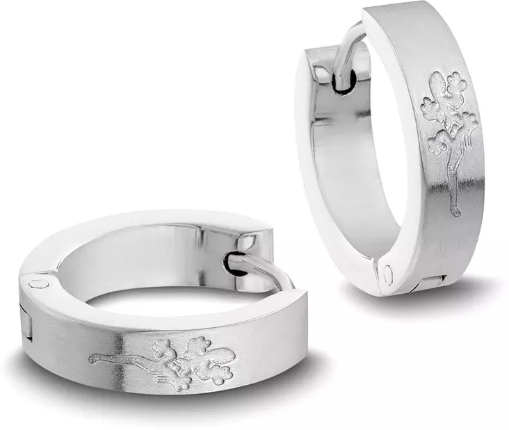 Teräs korvakorut - Teräksiset korvakorut - 618010-4 - 1