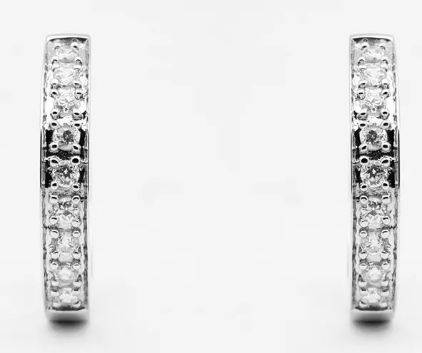 Korvarengas hopeaa 22 x 4 mm saranalla - Hopeiset korvakorut - CKK229 - 1