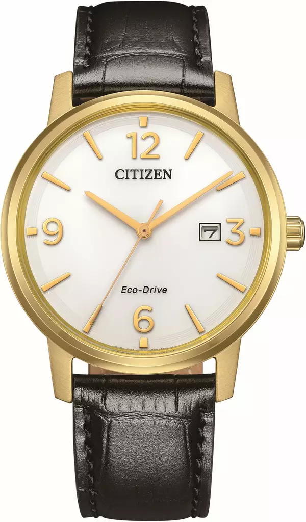 Citizen Eco-Drive pair nahka kulta - Citizen miesten rannekellot - BM6756-01A - 1