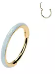 Lävistyskoru segment ring 10mm - Lävistyskorut - HW34-2010-G - 1