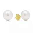 HELMIKORVAKORU 8.5mm TAPPI - Kultaiset korvakorut - 6-3366P - 1