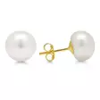 HELMIKORVAKORU 8.5mm TAPPI - Kultaiset korvakorut - 6-3366P - 2