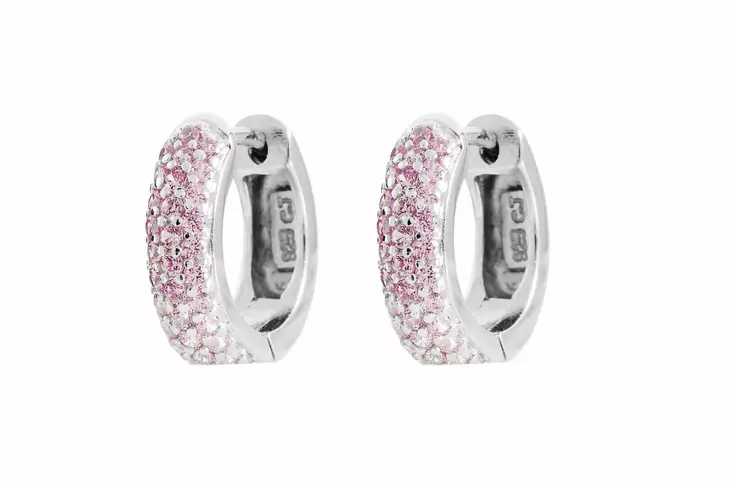 Helen korvarenkaat C10245P - Hopeiset korvakorut - C10245P - 1