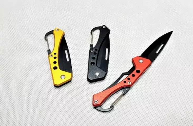 Taskuveitsi Clip Z798- - Puukot - Z798R - 1