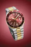 Citizen Marine automaattikello NJ0234-58X - Citizen miesten rannekellot - NJ0234-58X - 5