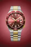 Citizen Marine automaattikello NJ0234-58X - Citizen miesten rannekellot - NJ0234-58X - 4