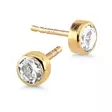 Kultaiset korvanapit kirkkaalla zirkonilla SA-0206-04Z - Kultaiset korvakorut - SA-0206-04Z - 1