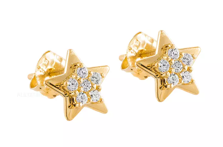 Kauniit kultaiset korvakorut kirkkailla zirkoneilla - Kultaiset korvakorut - K-E35106Z - 1